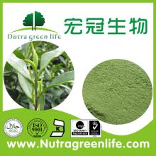 Healthy professional green tea powder for food and drink