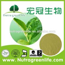 Aloe Vera Extract/Aloe Vera Gel Powder 200:1/100:1/10:1