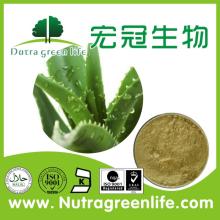 Certified pure Aloe Vera Extract supplier