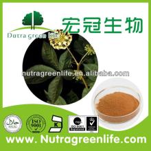 5 ton stock at the Lowest price for Siberian Ginseng Extract