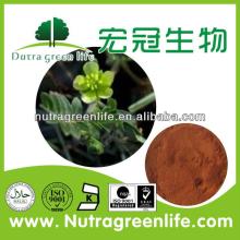 7.2USD/KG FOR Tribulus Terrestris Extract