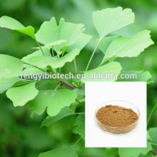 24% Flavone Ginkgo Biloba Extract Ginkgolides