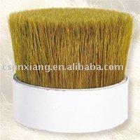 Golden  dyed  bristle