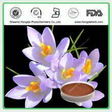 Fancy Grade Saffron Extract Powder