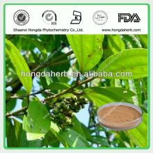 High Quality Cassia cinnamon extract powder