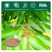 Professional supplier  cinnamon   cassia   powder 