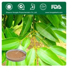ISO Certified Ceylon Cinnamon Extract