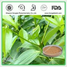 Cinnamon Extract Powder Honey Weight Loss