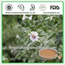 Natural Marshmallow Leaf Extract/Althaea Officinalis Extract