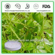 100% Natural Black Pepper Seeds Extraction, Piperine 50%