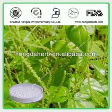High Purity Water-soluble Black Pepper Extract