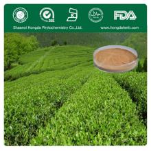 Best Quality Green Tea Leaf Extract Powder,Tea Polyphenol