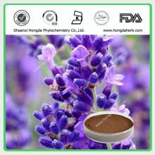Lavender Extract Powder 10:1