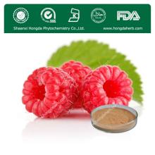 Herb Medicine,100% Natural Palmleaf Raspberry Fruit Extract 5:1