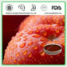 Tomato Extract Powder