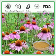 100%Natural Echinacea Purpurea Extract