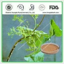 Factory Supply Natural Nettle Plant Extract