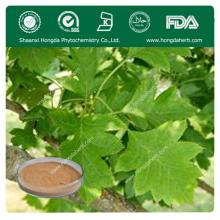 Best Selling Natural Hawthorn Leaf Extract Powder