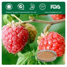 100% Natural cranberry extract Powder OPC 25%
