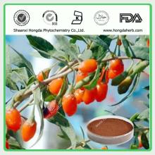 China High Quality on sale Organic Goji Berry Extract Powder