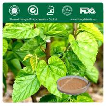 Hot Selling Mulberry Leaf Extract Powder