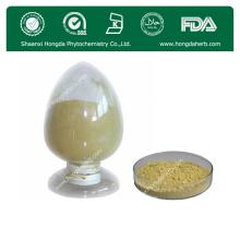 Soybean extract /Soybean Isoflavones Extract
