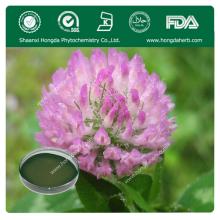 Trifolium pratense L extract / Red Clover Extract /Trifolium Extract