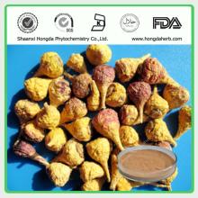 Organic Maca P.E. / Maca Extract /Maca Root Extract 10:1 5:1