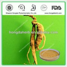 100% Natural Ginseng Root Extract