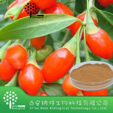 High quality Goji berry extract 40% polysaccharide