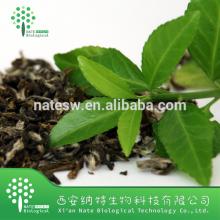 Pure Natural Green Tea Extract 50% Catechins /25% EGCg (HPLC)