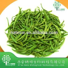 Pure Natural Green Tea Extract /Tea Polyphenol, Catechin, EGCG