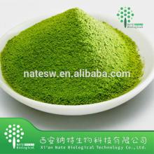 Low price Instant Green Tea Extract Powder