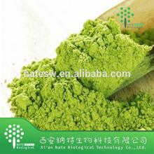 Competitive price hot selling Instant Green Tea Extract Powder