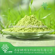 Best Selling Instant Matcha Green Tea Powder