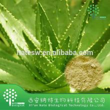 Competitve price best seller 95% aloe emodin Aloe vera Extract Powder