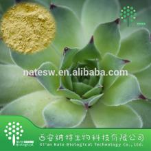 CAS NO.: 481-72-1 Aloe Emodin 90% Aloe vera Extract Powder with Low Price