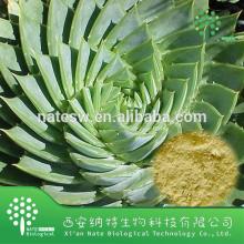 Factory supply hot sale Aloe vera Extract Powder Aloe emodin 95% by HPLC
