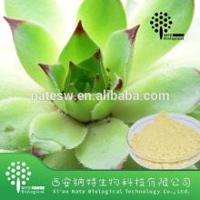 100%  pure   natural   Water -soluble Aloe vera Extract Powder 98% Aloin by HPLC