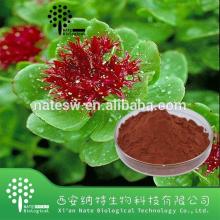 Hot Sale product  rhodiola   rosea   extract   Rosavin  1%,2%,3% from chinese suppliers