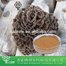 High quality  Grifola   frondosa  extract  powder  from chinese factory