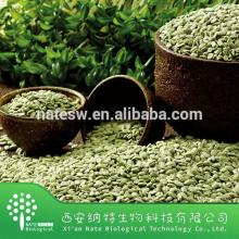 Natural Wild Avena Sativa Extract /Oat grass extract 70%Beta-Glucan