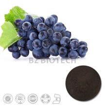 100% Natural Pure High Quality Black Currant P.E. with 5%, 10%, 15%, 20%, 25% Anthocyanins UV/ HPLC