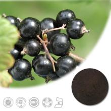 100% Natural Pure High Quality Blackcurrant Extract with 5%, 10%, 15%, 20%, 25% Anthocyanins UV/ HPL