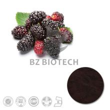 100% Natural High Quality Mulberry Fruit Extract with 5%, 10%, 15%, 20%, 25% Anthocyanins