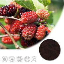 100% Natural High Quality Mulberry P.E. with 5%, 10%, 15%, 20%, 25% Anthocyanins