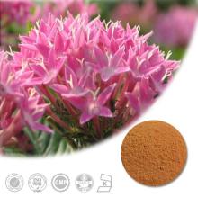 High Quality Rhodiola Extract with 1%- 5% Rosavin