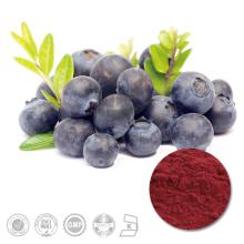  High   Quality   Bilberry  Fruit Extract with 10% Anthocyanidins