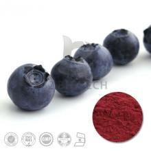 High Quality Bilberry Fruit Extract with10%-25% Anthocyanidins