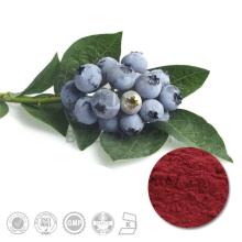 High Quality Bilberry Fruit Extract with 30% Anthocyanosides